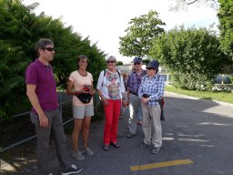 06 Abend-Spaziergang 16. Juni